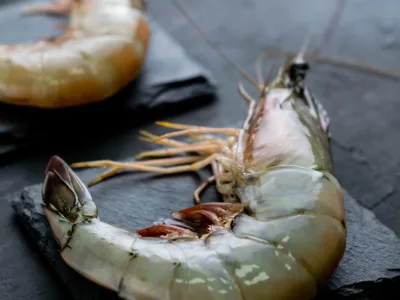 Langostino Japonés Congelado (IQF) (Conveniencia y Calidad)