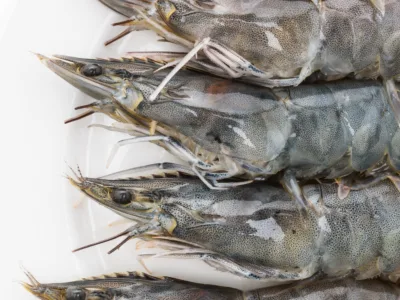 Packs gourmet de temporada